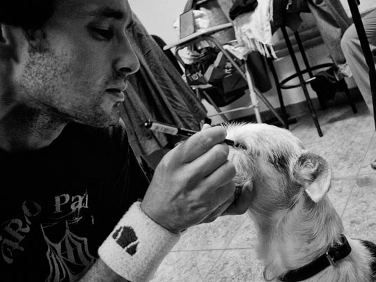  MARCELO AURELIO _ 5è gran cabaret de circ a la fàbrica-k2 