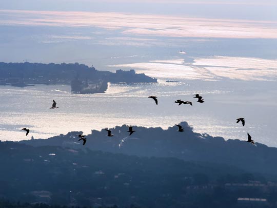  MARCELO AURELIO _ le peuple migrateur 