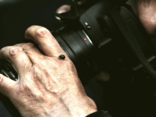  MARCELO AURELIO _ macrosking 
