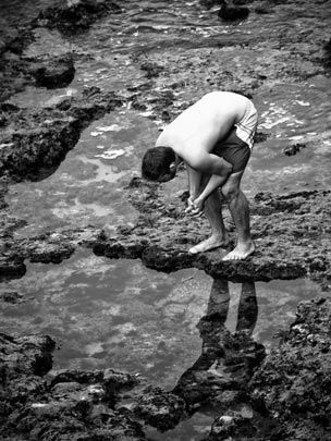  MARCELO AURELIO _ narciso 