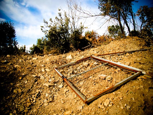  MARCELO AURELIO _ salida 