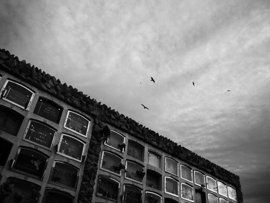  MARCELO AURELIO _ sobre el cementerio 