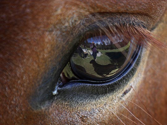  MARCELO AURELIO _ tu ojo y yo 