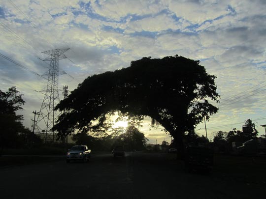 MIKEL URMENETA _ adaptado a la carretera 