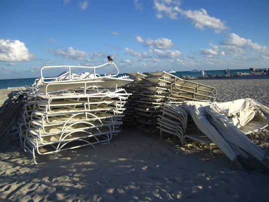  MIKEL URMENETA _ al pájaro le mola lo blanco 