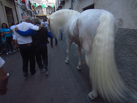  MIKEL URMENETA _ amigos y caballo 