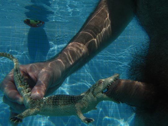  MIKEL URMENETA _ capullodrilo 