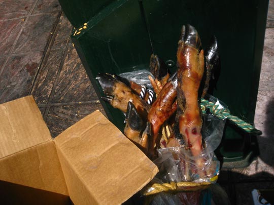  MIKEL URMENETA _ cementerio porcino 