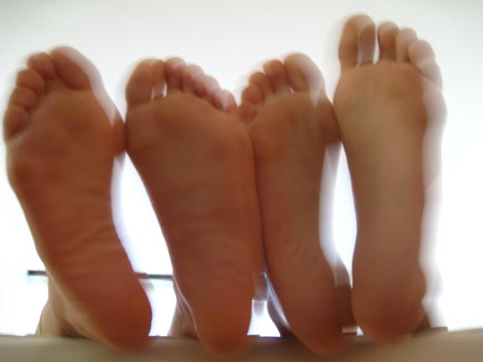  MIKEL URMENETA _ cuadrúpeda 