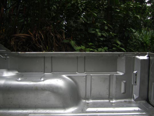  MIKEL URMENETA _ adpatado a la naturaleza 