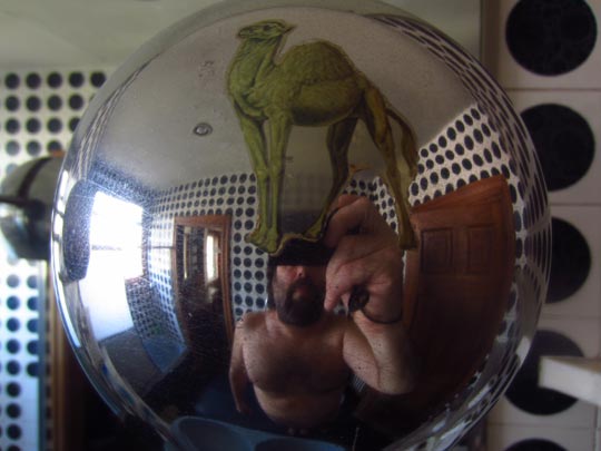  MIKEL URMENETA _ dromedario 