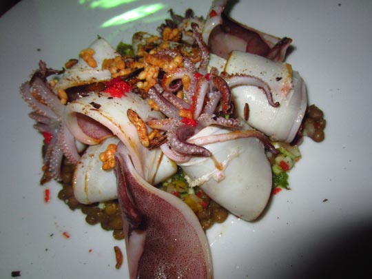  MIKEL URMENETA _ el pulpo del albedrío 