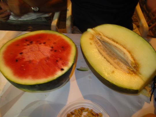  MIKEL URMENETA _ ella y él 