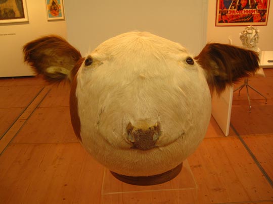  MIKEL URMENETA _ encefalopatia espongiforme 