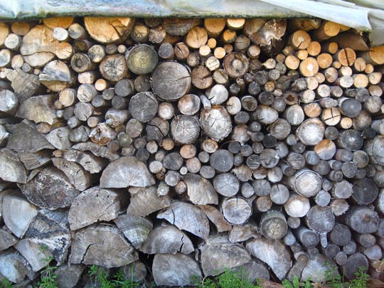  MIKEL URMENETA _ evolución 