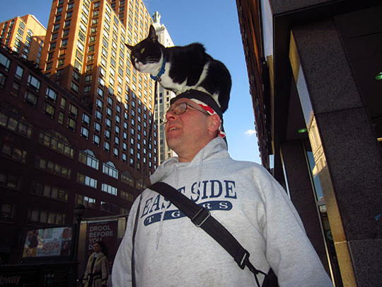  MIKEL URMENETA _ gato de ciudad 