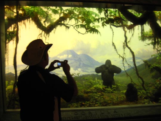  MIKEL URMENETA _ gorila disecado 