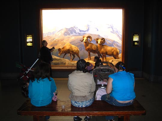  MIKEL URMENETA _ gorilas vivas 