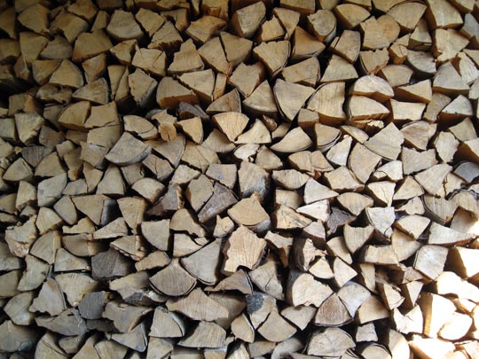  MIKEL URMENETA _ inmovilismo 