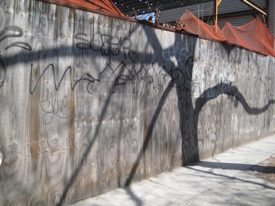  MIKEL URMENETA _ intervencion de un arbol en brooklyn 