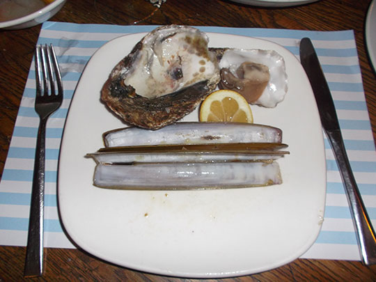  MIKEL URMENETA _ jaime 