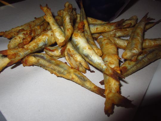  MIKEL URMENETA _ los boquerones del trasteo 