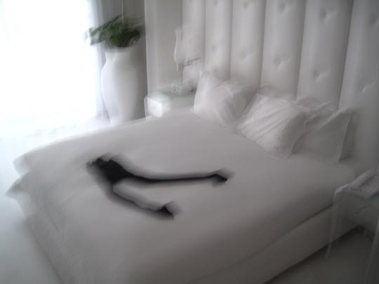  MIKEL URMENETA _ mono descuartizado 