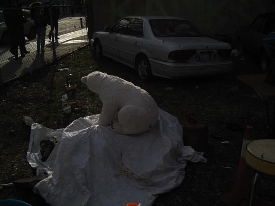  MIKEL URMENETA _ oso polar enjaulado 