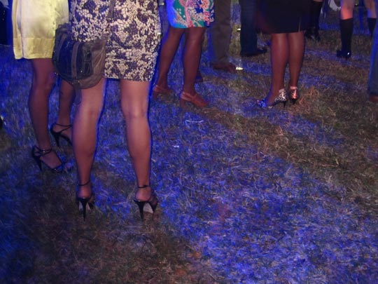  MIKEL URMENETA _ patas, patitas, patorras de miami 