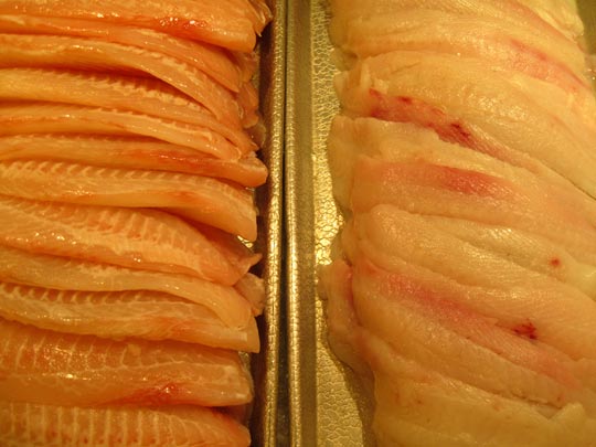  MIKEL URMENETA _ pescado 1 