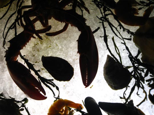  MIKEL URMENETA _ pin zas 