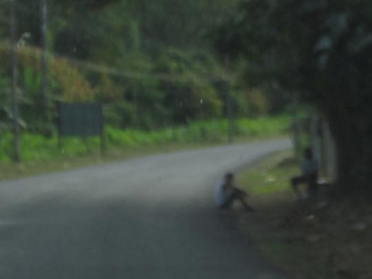  MIKEL URMENETA _ pura 