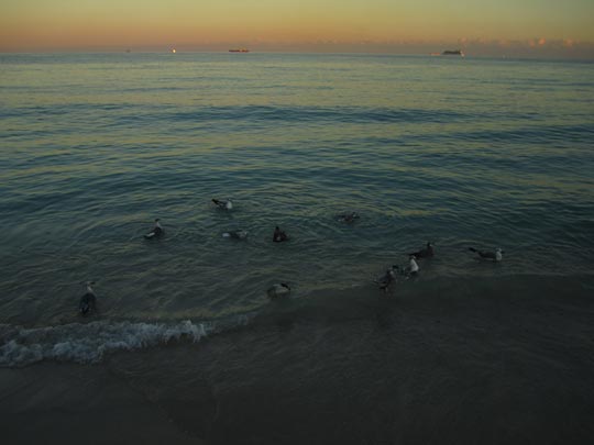  MIKEL URMENETA _ relax 