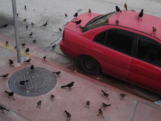  MIKEL URMENETA _ tensión 