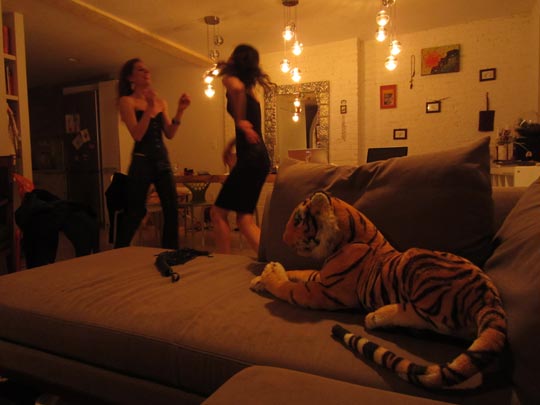  MIKEL URMENETA _ tigre 