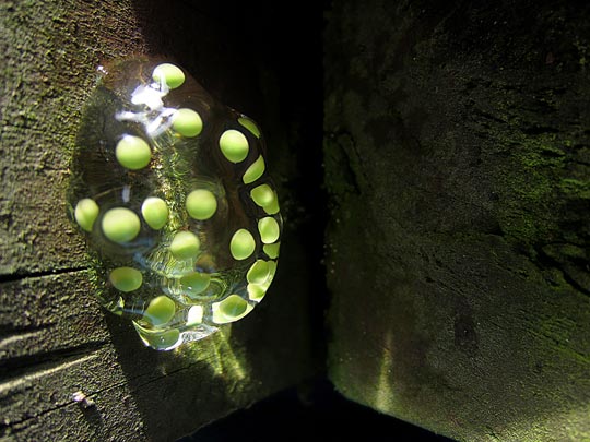  MIKEL URMENETA _ vivienda anfibia 