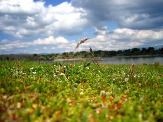  MARTA PEIRÓ _ a ras de suelo 