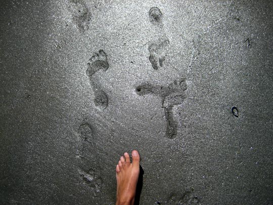  MARTA PEIRÓ _ arenita plateá 