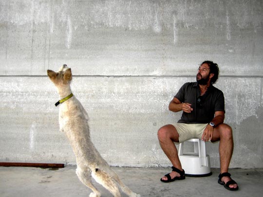  MARTA PEIRÓ _ clases de salsa 