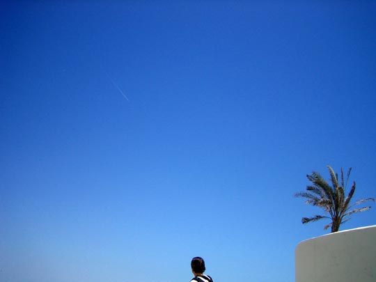  MARTA PEIRÓ _ cuantísimo te quiero, le dijo la palmera 