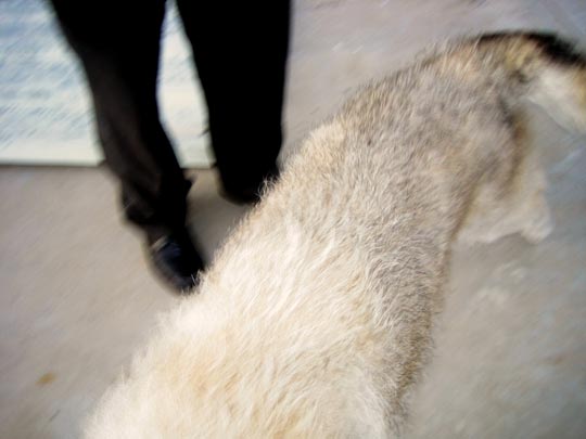  MARTA PEIRÓ _ de cintura hacia abajo 