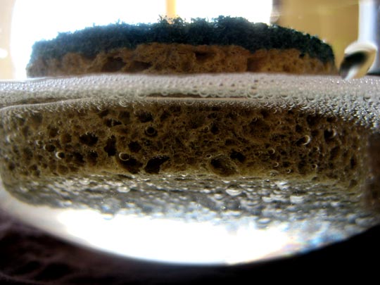  MARTA PEIRÓ _ depredador 