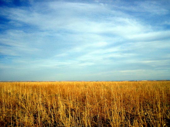  MARTA PEIRÓ _ el mar que no veo si cierras los ojos 