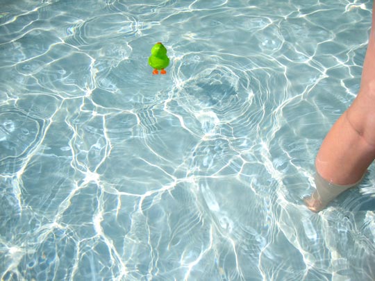  MARTA PEIRÓ _ el pato y la pata 