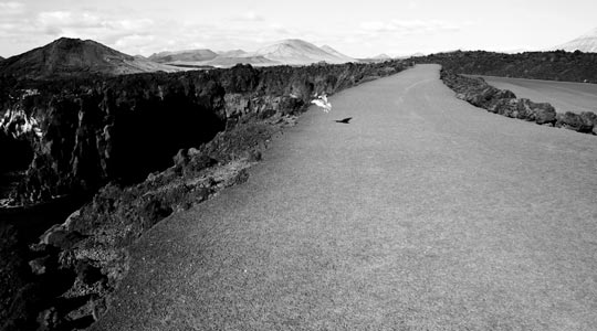  MARTA PEIRÓ _ juan salvador gaviota 