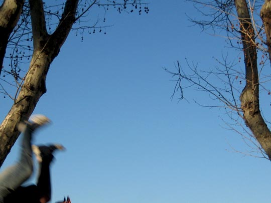  MARTA PEIRÓ _ la caida del baron rampante 