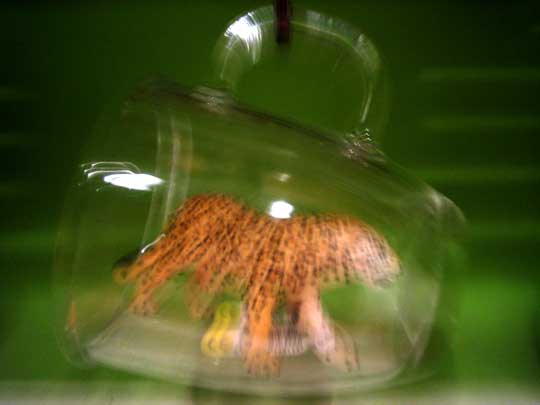  MARTA PEIRÓ _ la fiera de mi niña 