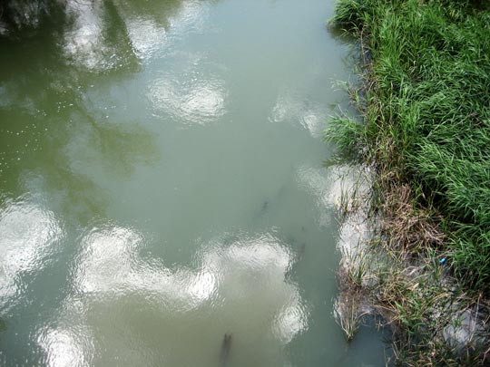  MARTA PEIRÓ _ las cosas del tajo 