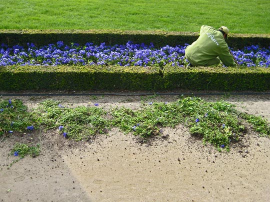  MARTA PEIRÓ _ las flores del mal 