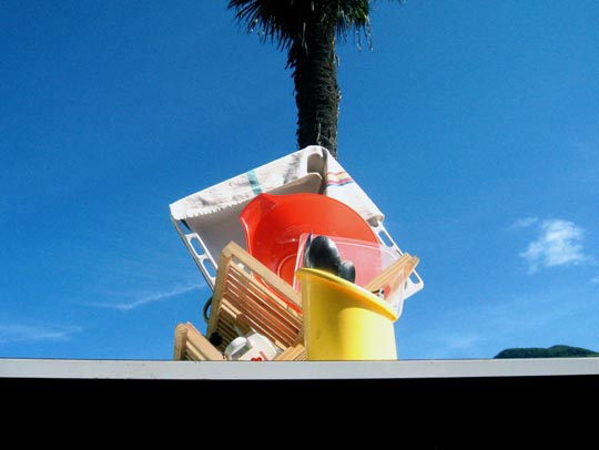  MARTA PEIRÓ _ las palmeras también friegan 